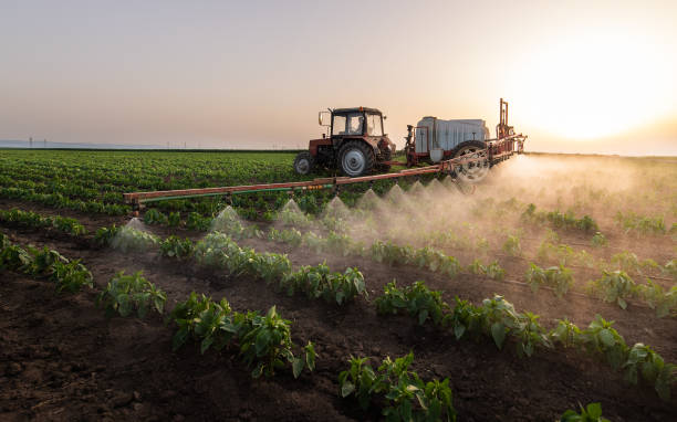 Reliable Livingston, TX Pest Control Solutions