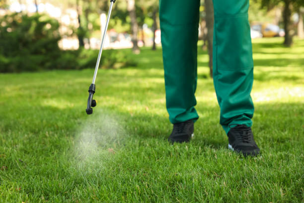 Best Termite Control Services  in Livingston, TX