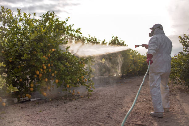 Best Cockroach Control Services  in Livingston, TX
