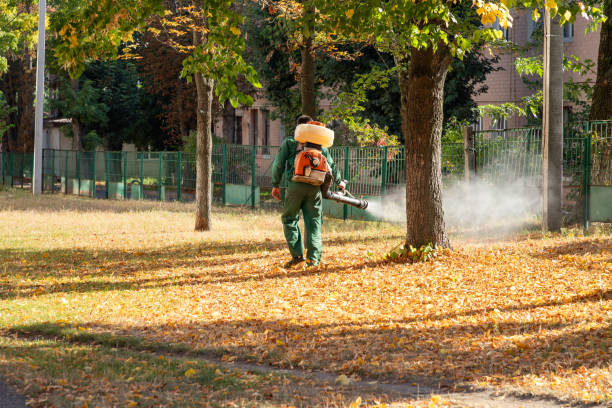 Best Cockroach Control Services  in Livingston, TX