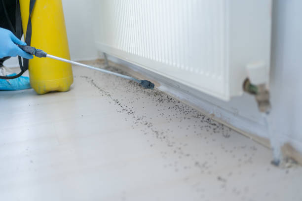 Best Affordable Pest Control Services  in Livingston, TX