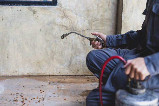 Best Best Pest Control Companies  in Livingston, TX